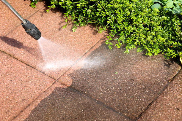 Best Commercial Building Pressure Washing  in Harvey, MI